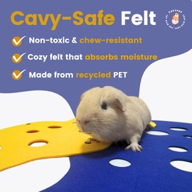 Guinea Pig Hideout Tunnel