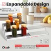 Expandable Spice Organizer Rack - 3-Tier - Clear Adjustable Tiered