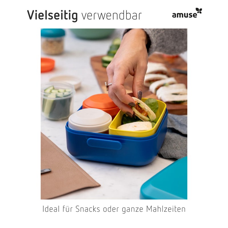 Amuse Rikko Children's Lunch Box Set with Compartments Bento Box