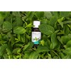 Peppermint Essential Oil 30ml 100% Natural Made in France Organic