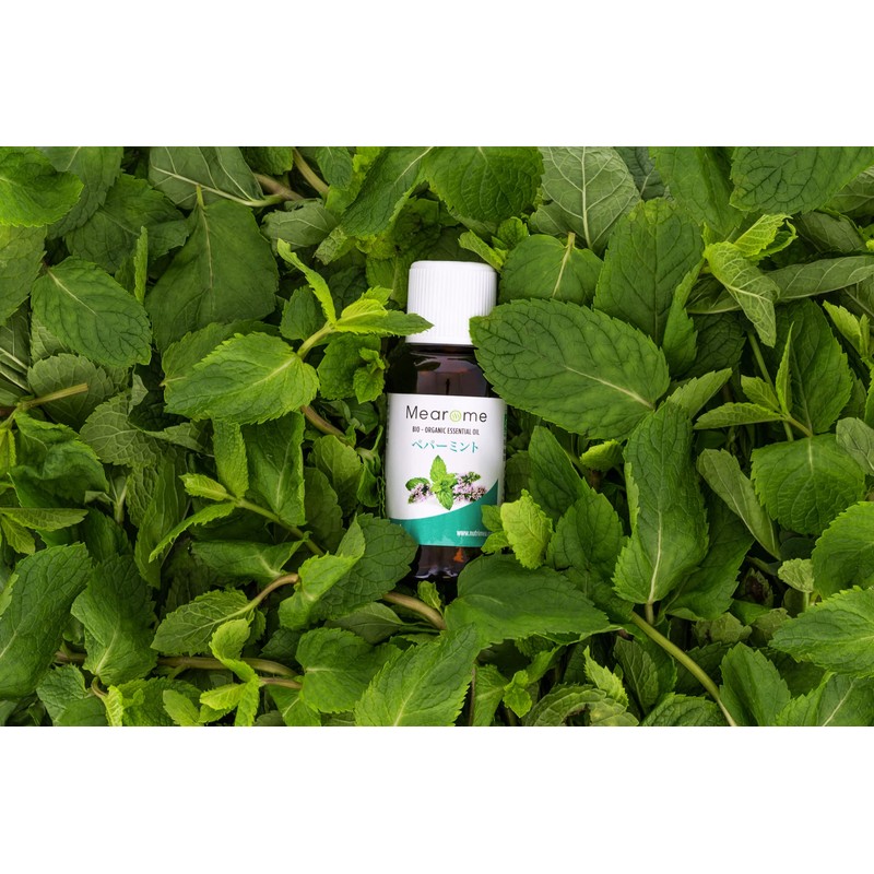 Peppermint Essential Oil 30ml 100% Natural Made in France Organic