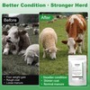 BiKontrun Soluble Drench Powder, Dewormer for Cattle and Sheep, 3.5