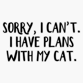 Magnet Sorry I Can't I Have Plans with My Cat Magnet Bumper Sticker Car Magnet Flexible Reuseable Magnetic Vinyl 5"