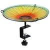 Sunnydaze Glass Bird Bath Bowl - Includes Deck Clamp and