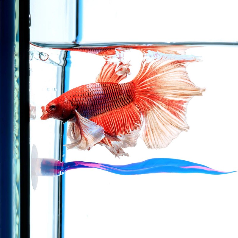 WILLBOND 2 Pcs Blue Silicone Betta Fish Bed Leaf Hammock