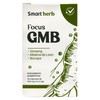 Smart Herb Focus GMB, Suplemento con Ginseng, Melena de León