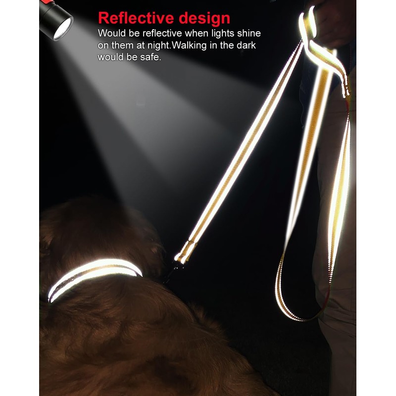 Joytale Correa reflectante de doble cara para perro, 6 pies/5