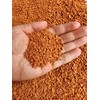 Horticultural Calcined Clay Soil Bonsai Cactus Soil Additive for Succulent