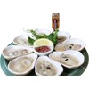 Loftin Oysters Ceramic Reusable Chargrilling, Cooking Oyster Shells, set of