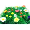 The Irish Fairy Door Company - Grass Patch Garden Fairy