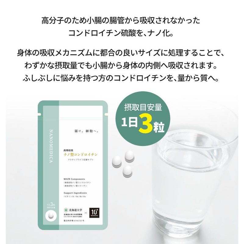 NANOMEDICA 高吸収性 ナノ型コンドロイチン 15g (160mg×約93粒入) 丸共バイオフーズ