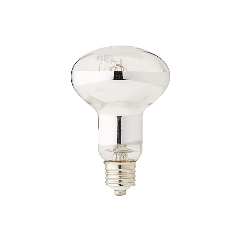 Reptiles-Planet Ultrasun UVB Reptiles Lamp, 80 W