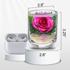 Premium Fresh Cut Preserved Flower Bouquet in a Sealed Glass Vase | Long Lasting Bouquet Roses Stays Fresh for 5+ Years | No Water Needed | Allergy Free | Unique Rose Gifts for Women