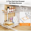 PXRACK Under Sink Organizer,1 Pack,2 Tier Metal Slide out Sink