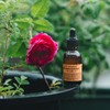 Yuanjae Adenosine Concentrate Ampoule 26g Unscented / 유안재 아데노신 원액