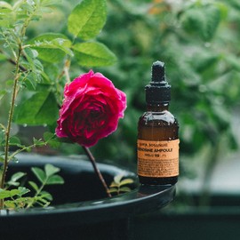 Yuanjae Adenosine Concentrate Ampoule 26g Unscented / 유안재 아데노신 원액 앰플 26g 무향