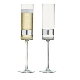 Anton Studio Designs SoHo Champagne Flutes - Silver (Pack of 2)
