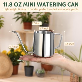 Roamall Small Watering Can for Indoor Plants - 12 oz Mini Indoor Watering Can with Long Spout Gooseneck Rust-Proof Stainless Steel Tiny Watering Kettle for Small House Plants
