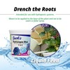 Jack's Classic 7-3-3 Hydrangea Blue Water-Soluble Fertilizer with Micronutrients to
