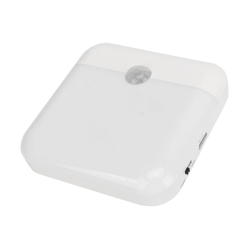 Motion Sensor Dimmable Night Light Two Colors Bedside Induction Lamp