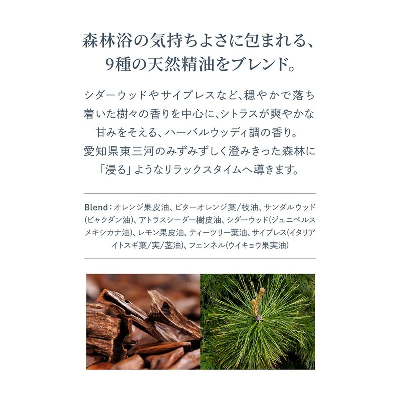 Waphyto Hand Wash, 10.1 fl oz (300 ml), Hand Soap