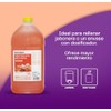 Gel Kleen. Jabón Espuma Antibacterial. 4 Litros. Frutal