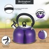 Buckingham Stainless Steel Whistling Kettle Metallic Purple with Cool Touch