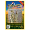 Everwilde Farms - 300 Common Tussock Sedge Native Grass Seeds