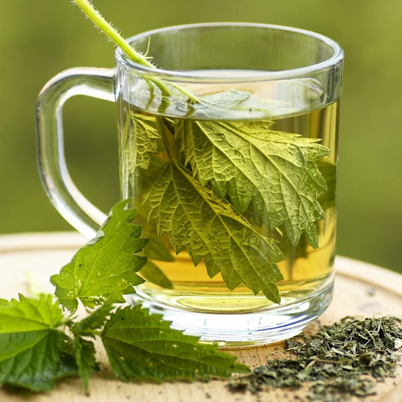 Alpi Nature Organic Nettle Tea 500g 1.1 lb, Dried and