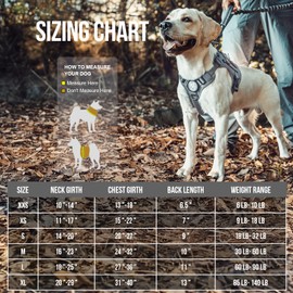 OneTigris Tactical Dog Training Vest No Pull Harness for Dogs,Adjustable Dog Hiking Harness Working Vest(Grey, Large)