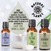 Natural Planet Spanish Rosemary Essential Oil 15ML Natural Pure &