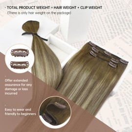 Sunny Hair Clip in Hair Extensions Straight Human Hair Clip in Extensions Remy Clip in Hair Extensions Real Human Hair Extensions Clip ins Ombre Walnut Brown to Light Brown Blonde 14inch