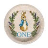 Peter Rabbit Boy's First Birthday - 32 Piece Disposable Party