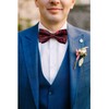 DiBanGu Silk Black and Red Paisley Pre-Tied Bowtie Adjustable Bowtie