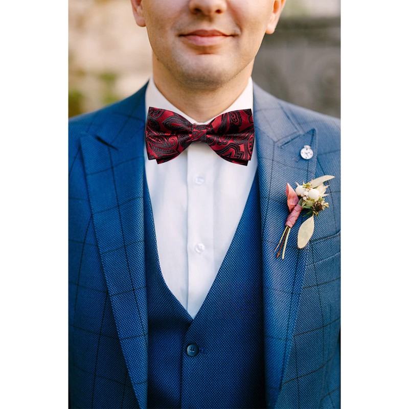 DiBanGu Silk Black and Red Paisley Pre-Tied Bowtie Adjustable Bowtie