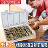 Comprehensive 95-Piece Carbon Steel Rivet Nut Set - Flange Blind