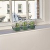 EarlyGrow MPL50077/3 Mini High Top Propagator 16 x 10 x