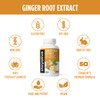 StayAlive Pure Ginger Root Extract Capsules - 10:1 Super Extract,