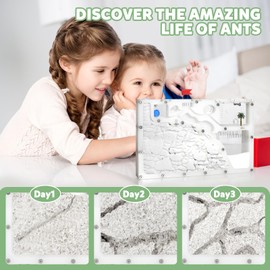 Blevla Ant Farms with Connections, Ant Farms for Kids & Adult, Live Ants for Ant Farm Educational Science DIY Toy Kit - STEM Learning Toy - Great Gifts for Boys & Girls (House)