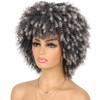 Ninroc Afro Curly Wig with Bangs Black Wigs Kinky Curly