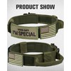 Joytale Tactical Dog Collar with Handle, Heavy Duty Military Dog