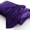Aormenzy Satin Pillow Cases for Women King Size Set of