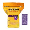 Auto Scents Professional Air Freshener Pads - Grape Scent (60