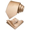 JEMYGINS Gold Formal Necktie and Pocket Square, Hankerchief and Tie