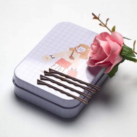 Hair Bobby Pins Brown with Cute Case, 200 CT Bobby Pins for Buns, Premium Hair Pins for Kids, Girls and Women, Great for All Hair Types, 2 Inches (Brown)