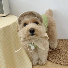 MuYaoPet Handmade Straw Dog Sun Protection Hat Baseball Cap,Adjustable Pet Visor Cap Beach Party Hat for Small Medium Dog Like Yorkie Chihuahua Bulldog Corgi (Small, Beige)