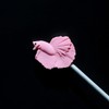 AIMALL Betta Fish Training Wand - Resin Betta Tail Training