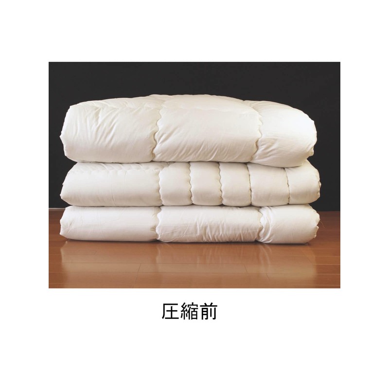 Orient Valve Type Futon Compression Bag, Set of 2, 47.2