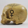 Skull Witchcraft Skull Decorative Figurine