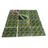 FLINK Juego de Memoria Animal 60 Cartas